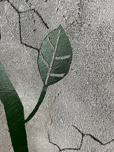“Rose From Concrete” no. 6