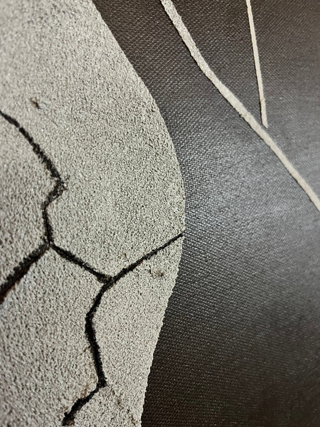 Rose From Concrete no. 10