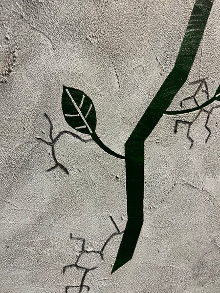 Rose From Concrete no. 4
